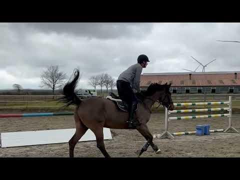 Trainingstipps von Tjark Nagel