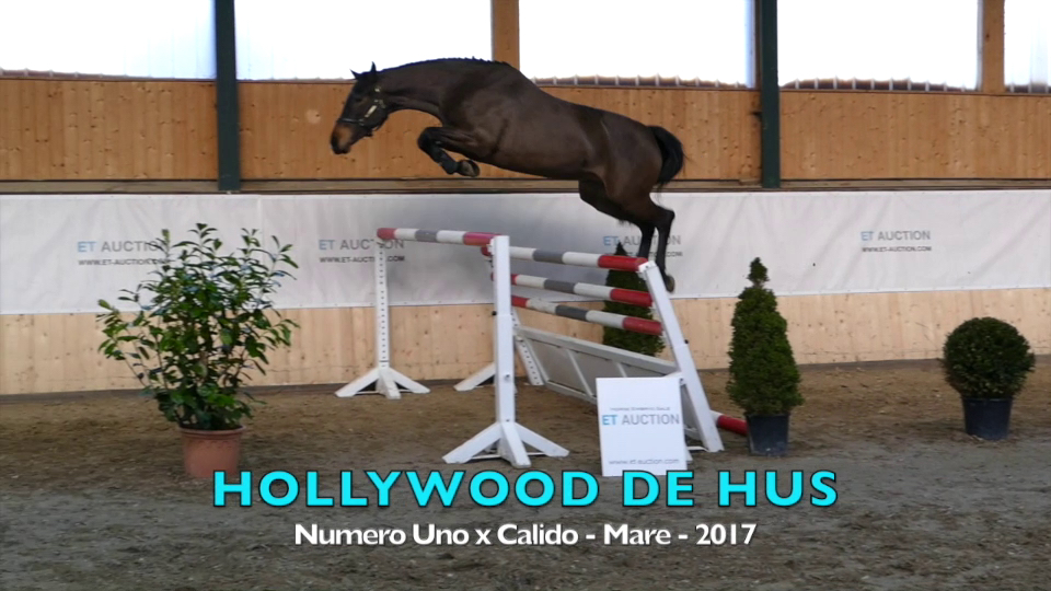 Et Auction Spring Elite Young Horse Frozen Semen Edition Spring Reiter De