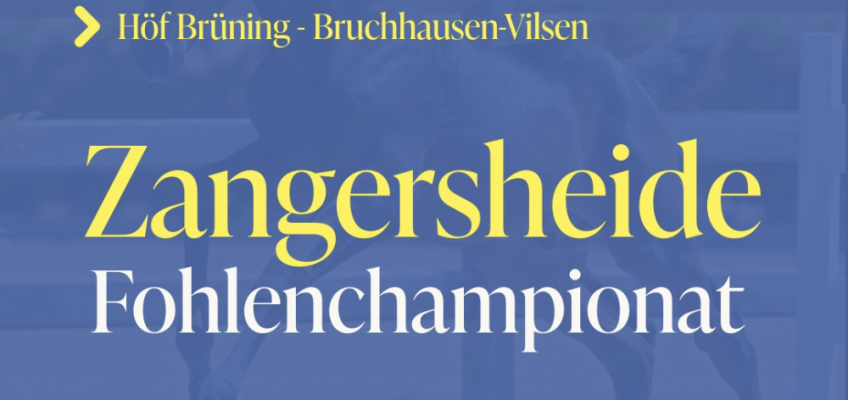🇩🇪 Züchter aufgepasst! 🇩🇪 Zangersheider Fohlenchampionat in Deutschland!