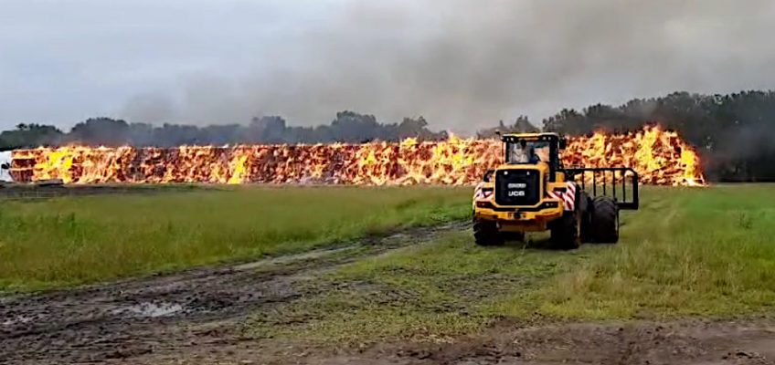 Feuer nach Blitzeinschlag in Paul Schockemöhles Gestüt Lewitz!