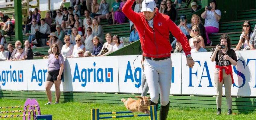 Martin Fuchs gewinnt Nationenpreis in Falsterbo vor André Thieme – im Kaninchenspringen!