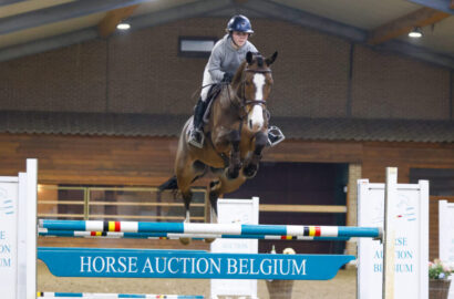 Horse Auction Belgium Kicks Off 2025 with an Exclusive Online Auction