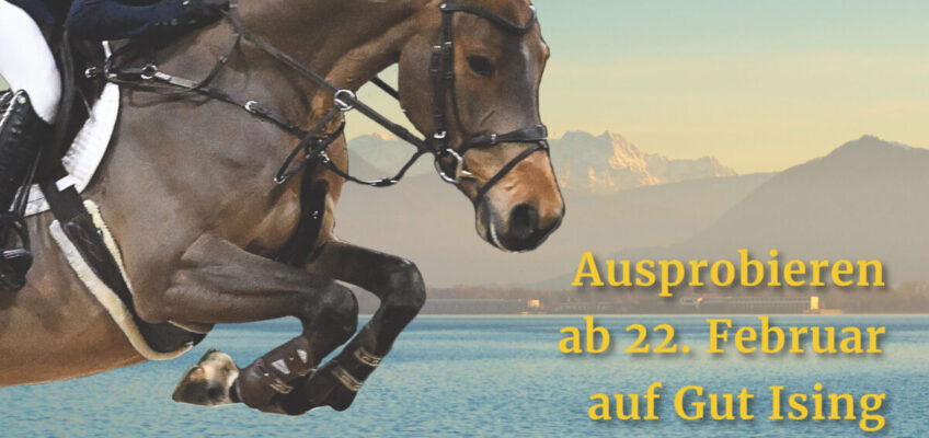 Chiemsee Sales: Auktion, Ambiente, DSP-Ausnahmetalente